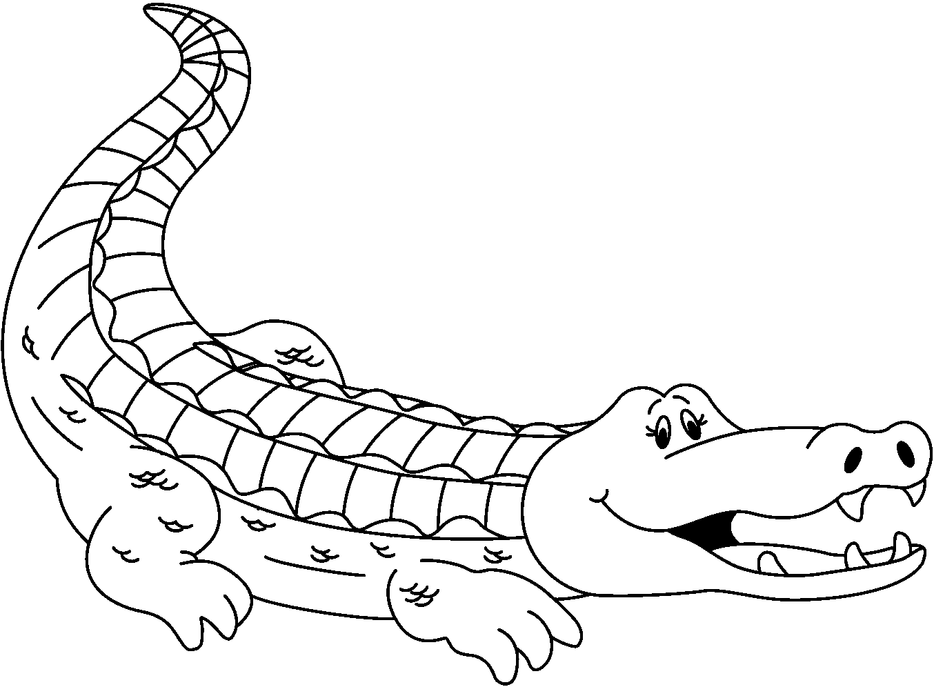 coloring clipart alligator