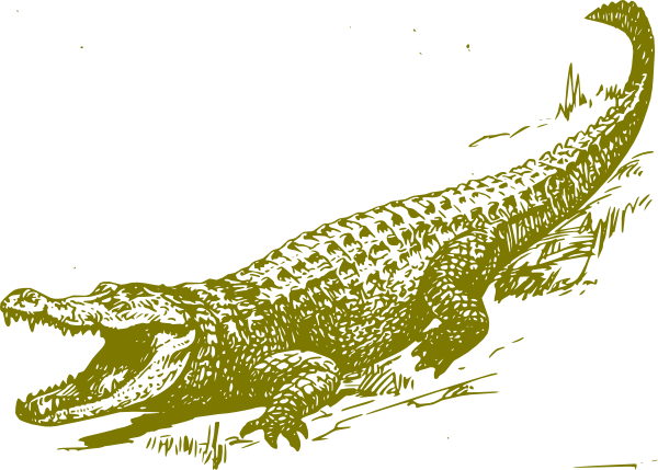 Citrus clip art at. Alligator clipart transparent background