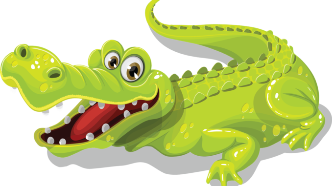 alligator clipart vector