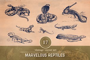 Alligator clipart vintage. Photos graphics fonts themes