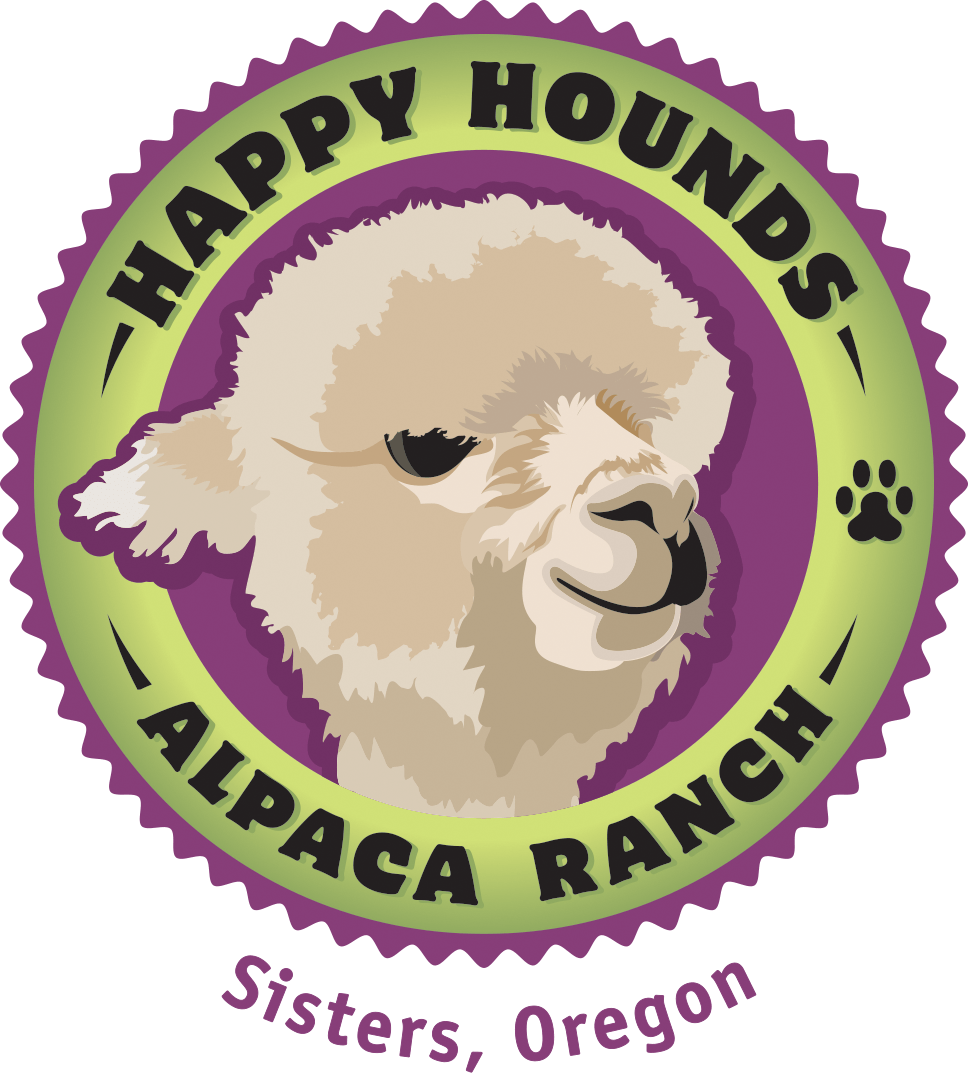 alpaca clipart a new beginning
