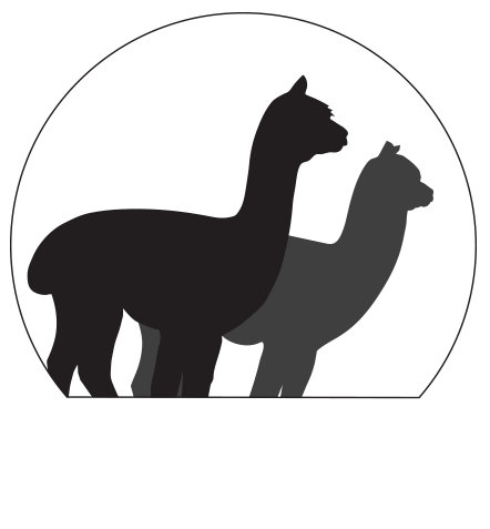 Faqs gallin farm alpacas. Alpaca clipart ancient inca