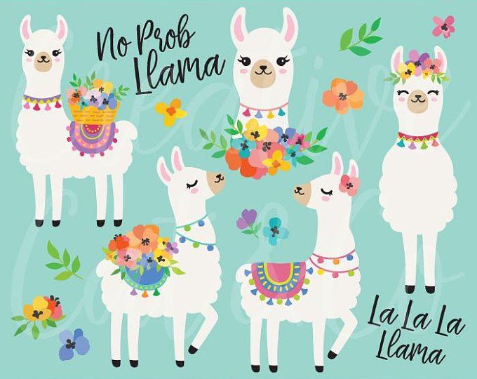 Alpaca clipart baby llama, Alpaca baby llama Transparent FREE for