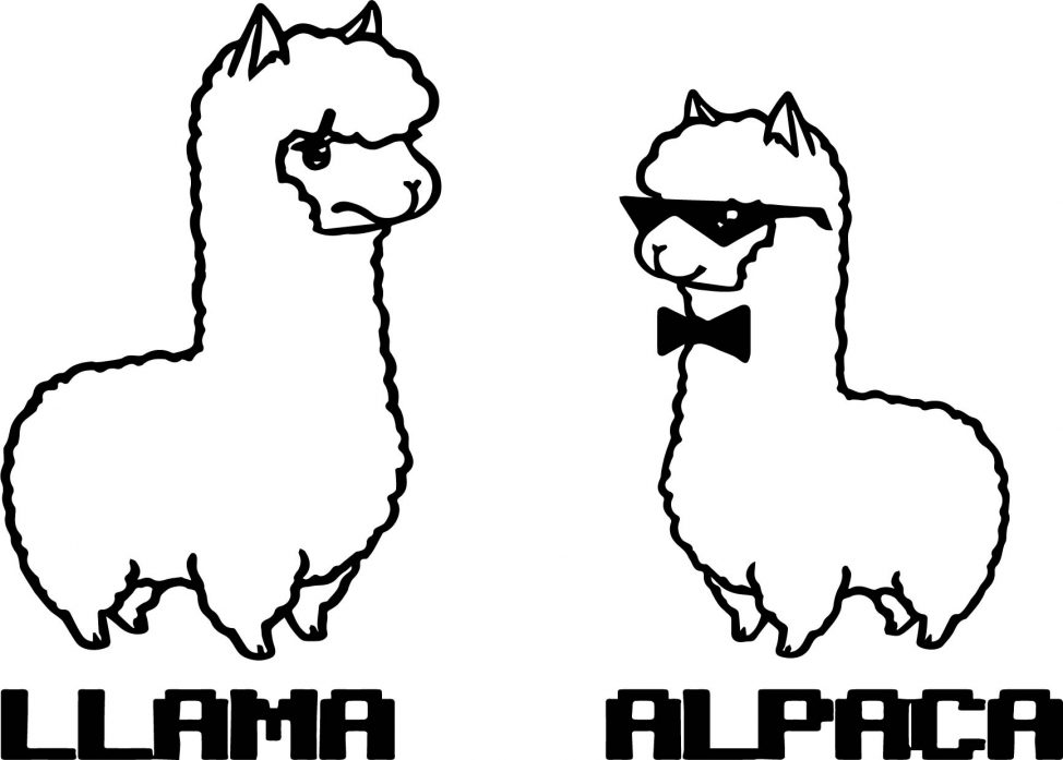 Collection of free download. Alpaca clipart coloring page