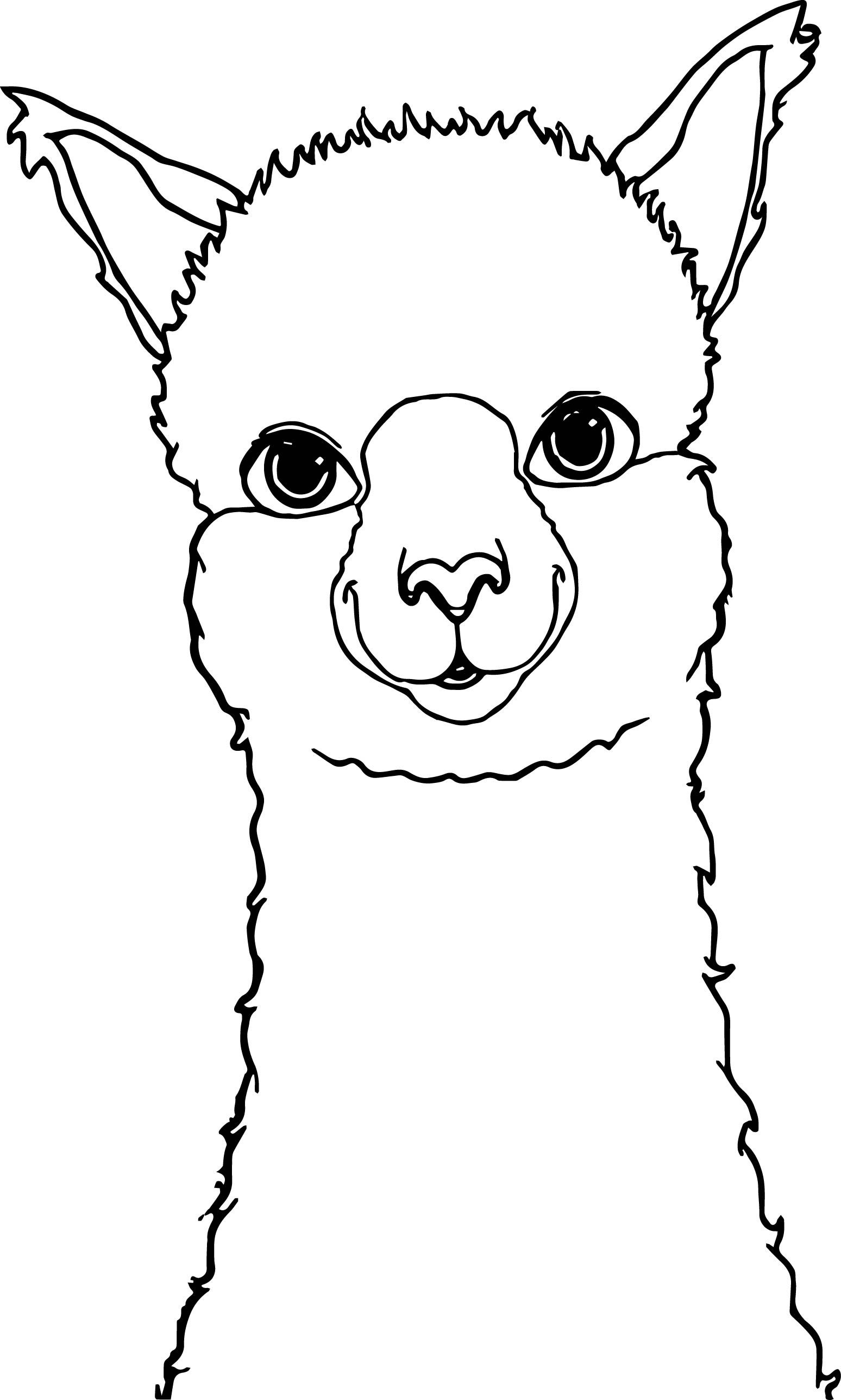 Alpaca clipart coloring page. Drawing alpacas llama and