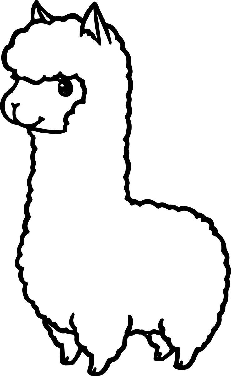 Alpaca clipart coloring page. Cartoon 