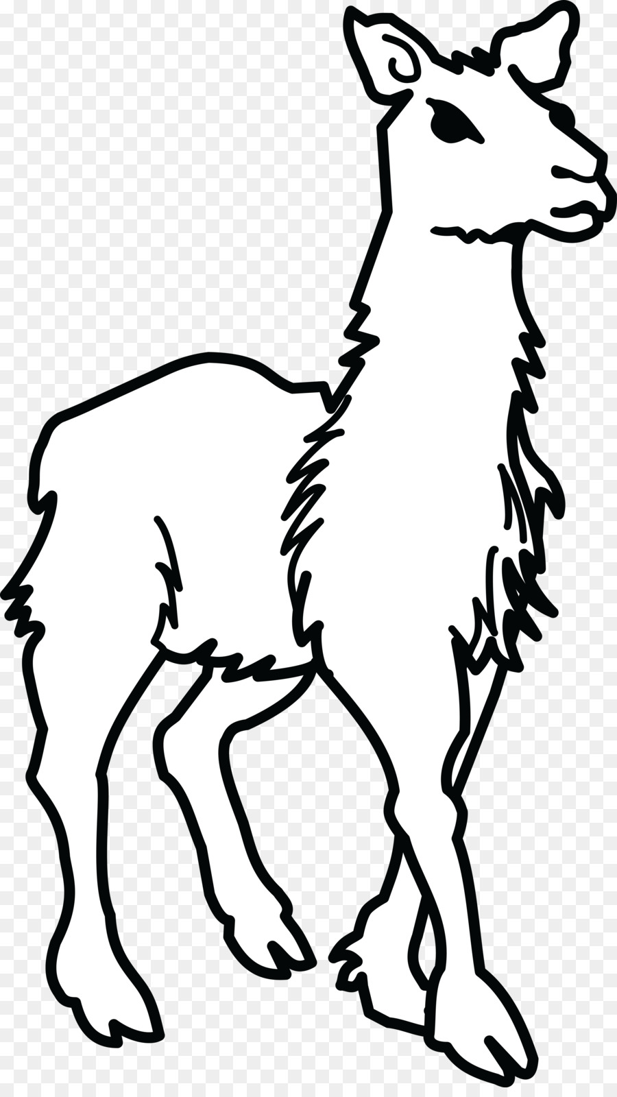 alpaca clipart inca civilization