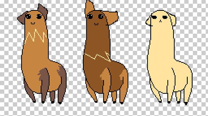 Alpaca clipart pixel. Llama dog breed art