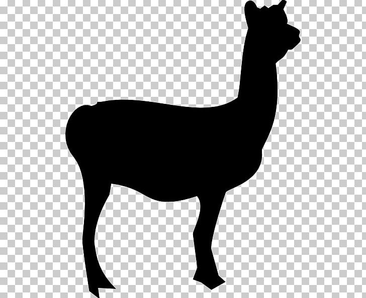 alpaca clipart silhouette