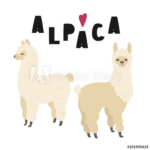 alpaca clipart vector