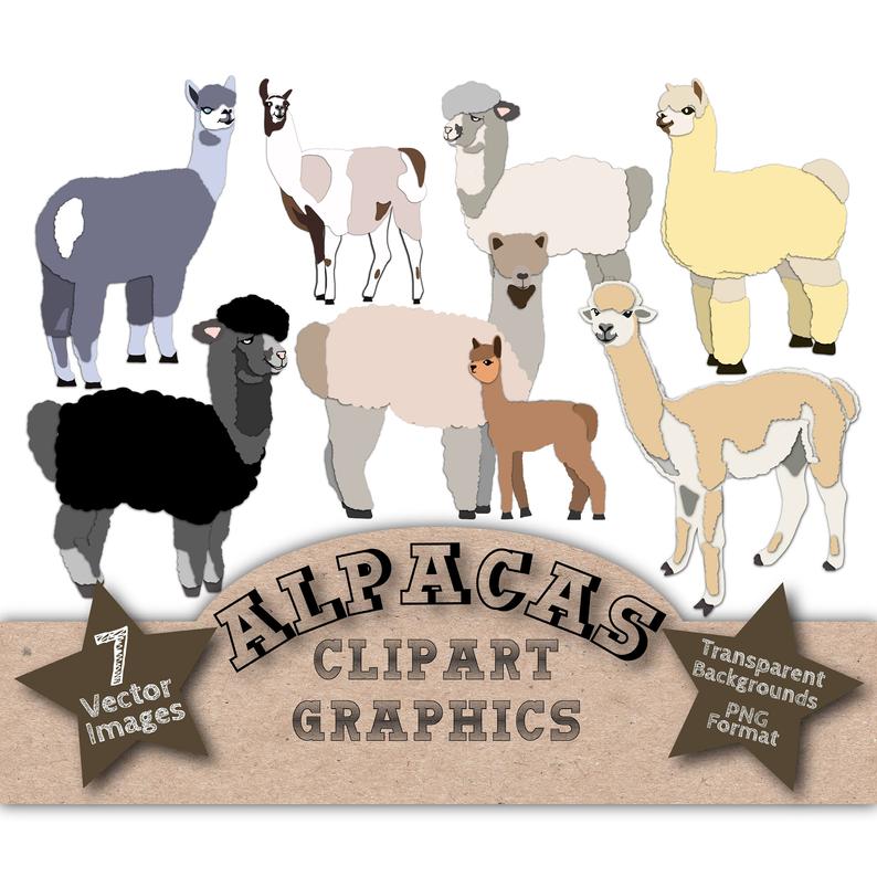 alpaca clipart vector