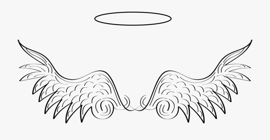 Wing clipart angel's wing. Halo and angel wings