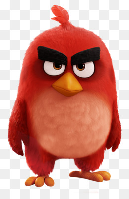 Anger clipart angry bird. Birds star wars animation