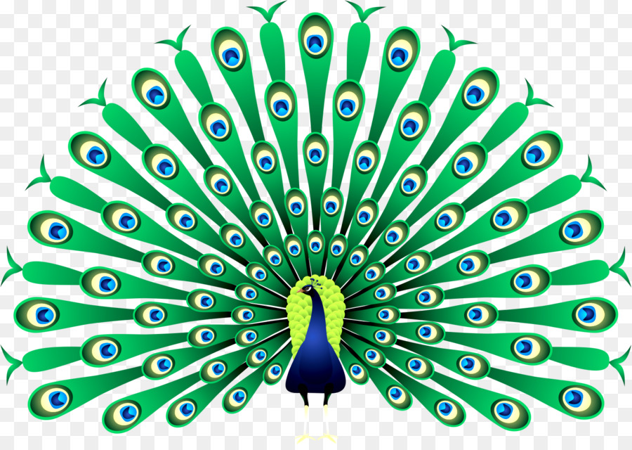 Peafowl clip art png. Angry clipart peacock
