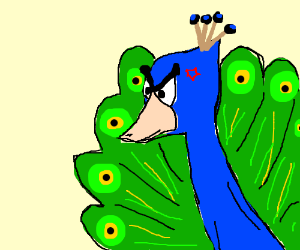 Drawception . Angry clipart peacock