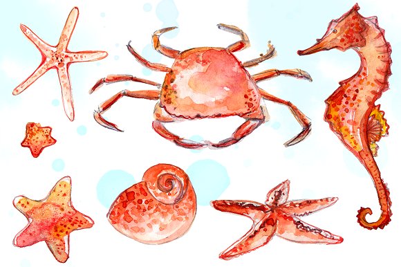 Animals illustrations creative market. Beach clipart crab