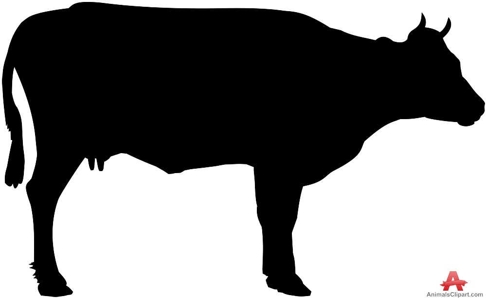 animal clipart cow