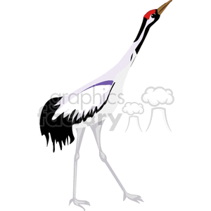 animal clipart crane