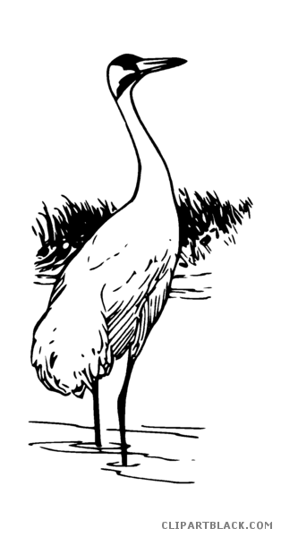 animal clipart crane