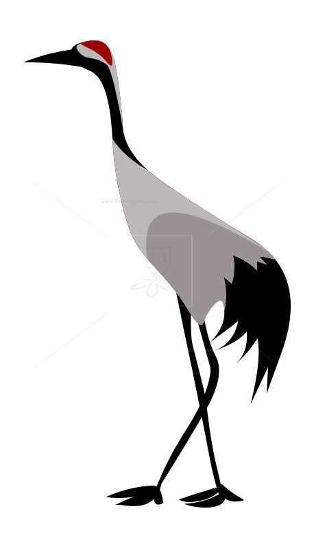crane clipart crane bird