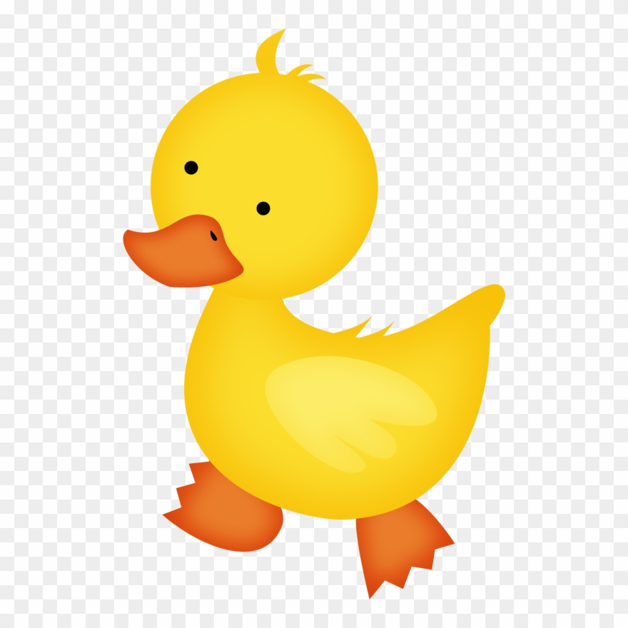 Duckling clipart wetland animal. Aw puddle duck farm