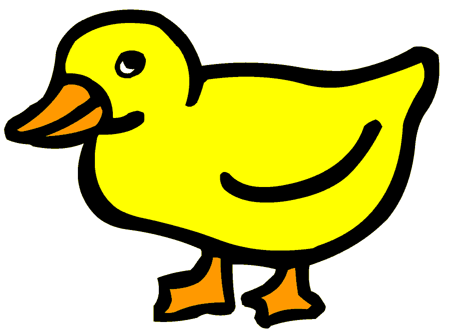 Duck . Ducks clipart simple