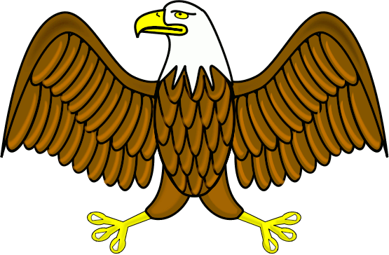 Bald wings . Animals clipart eagle