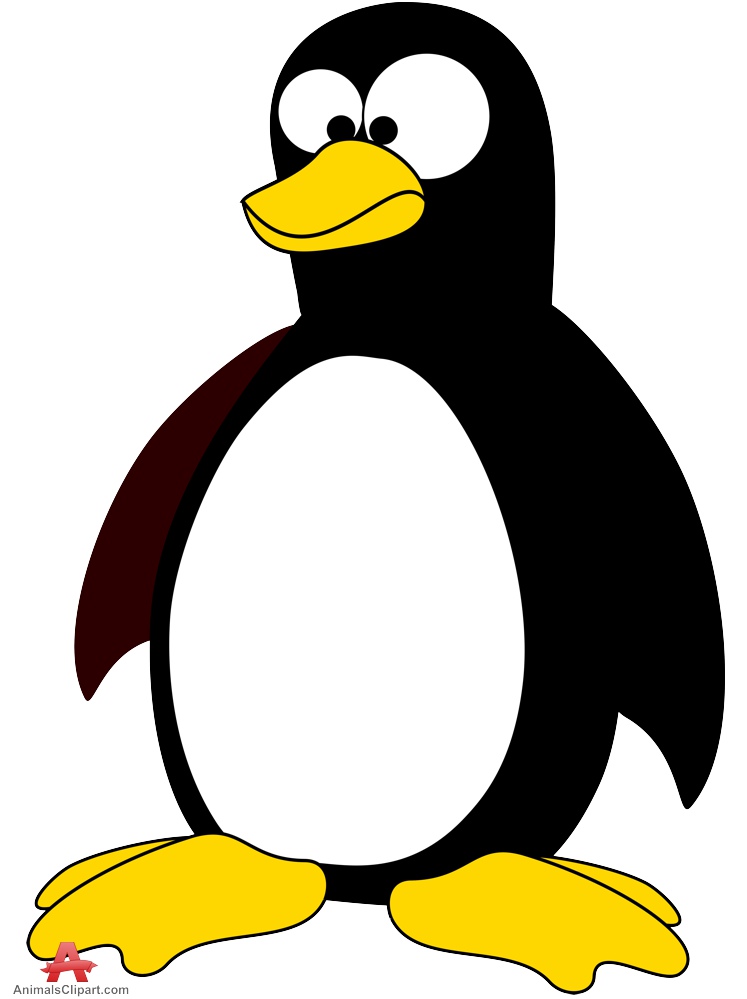 Animal clipart penguin. Cartoon free design download