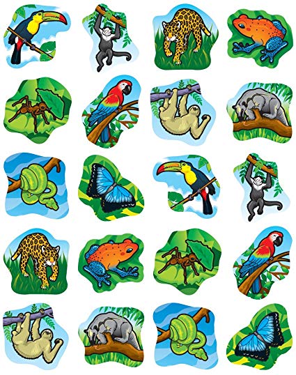 animals clipart rainforest