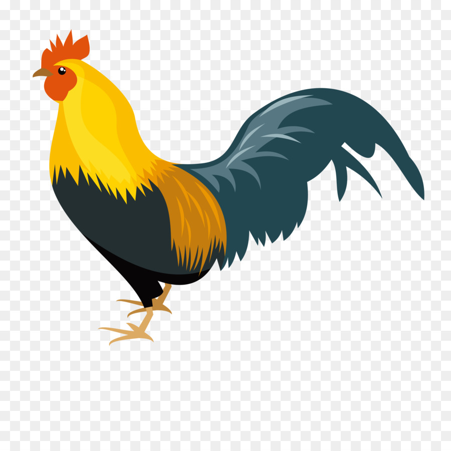 animal clipart rooster