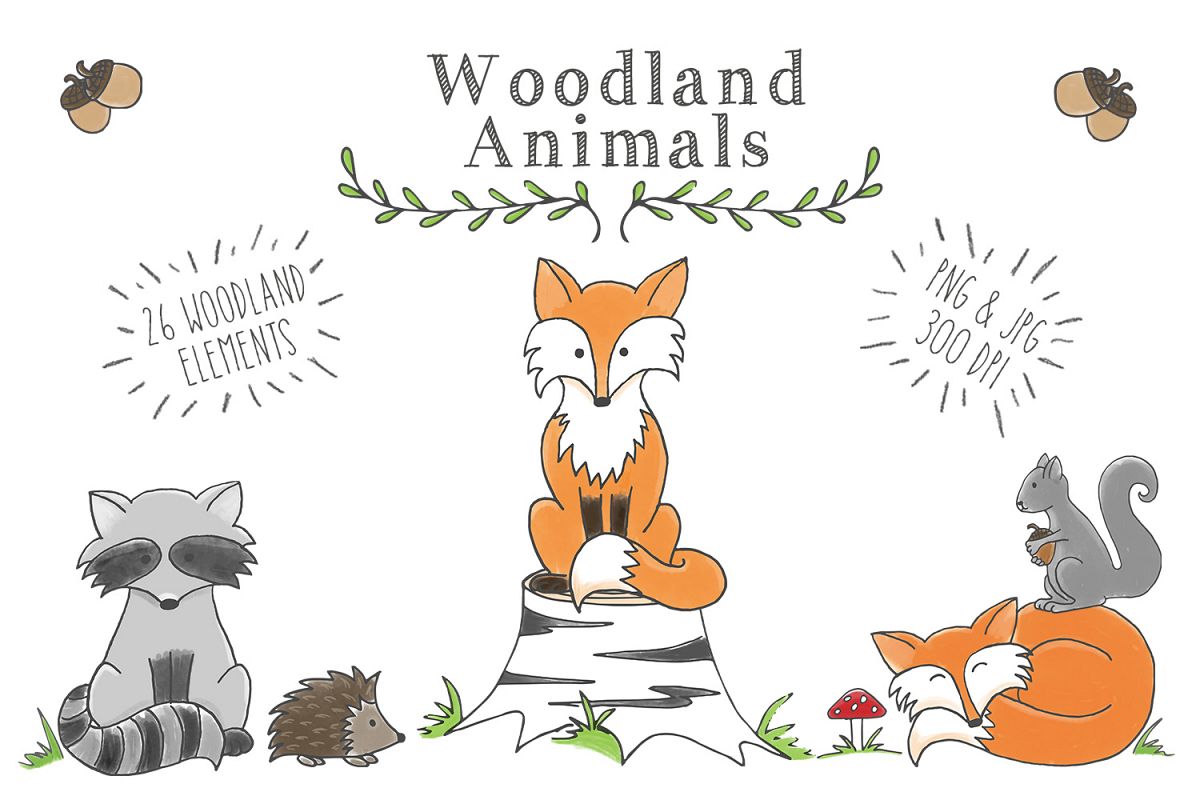 animal clipart woodland