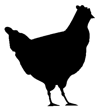 animals clipart chicken