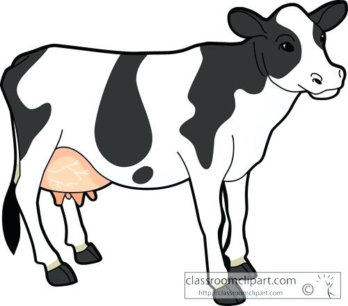 animals clipart cow