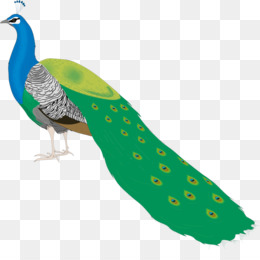 animals clipart peacock