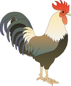animals clipart rooster