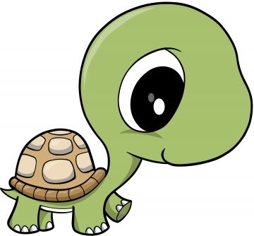 animals clipart turtle