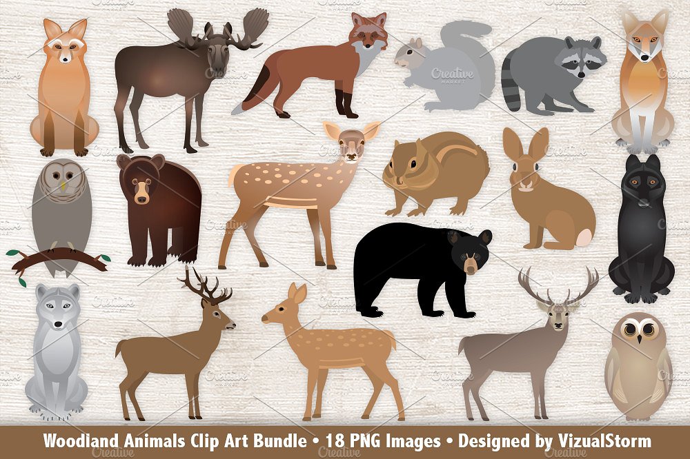 Clip art bundle illustrations. Animals clipart woodland