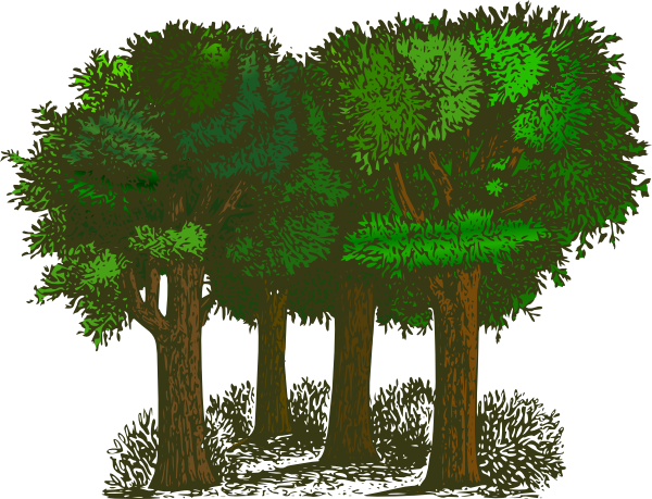 clipart forest forest tree