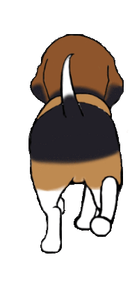 Anireminder best freeware handles. Animated clipart reminder