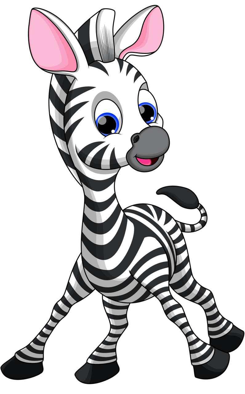  png animaux and. Cute clipart zebra
