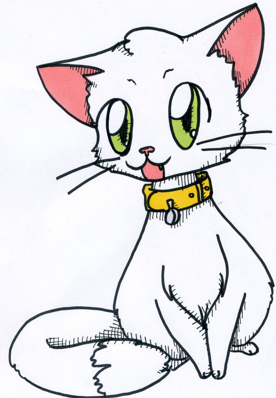 Drawings of cats free. Anime clipart cat