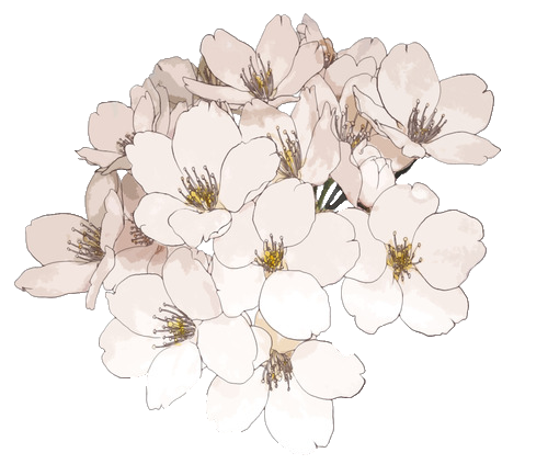 Anime flower png. Image flowers pale pink