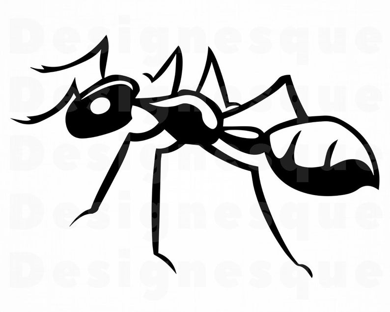 Svg insect files for. Ant clipart