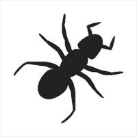 Free ants graphics images. Ant clipart