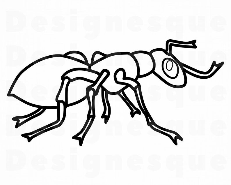 Ant clipart. Svg insect files for