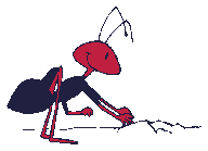 Ant clipart animation. Ants graphics picgifs com