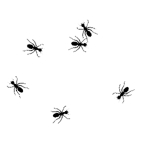 Animated ants on make. Ant clipart animation
