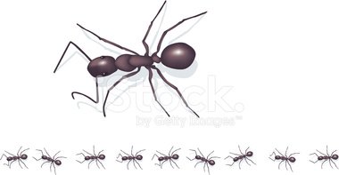 Stock vectors me. Ants clipart ants marching