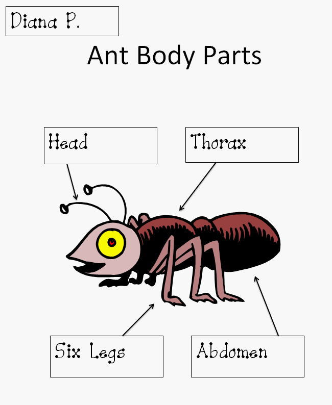 Ant clipart body. Diagram 