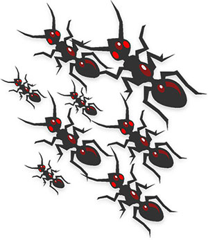 Ants clipart army ant. Free graphics animations images